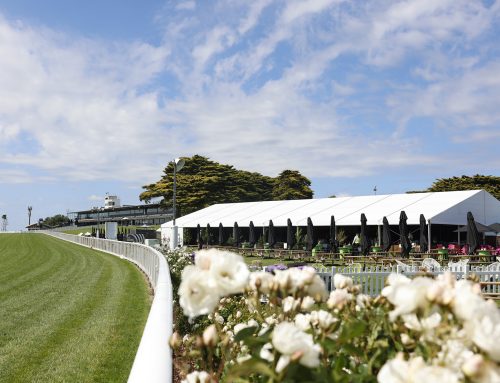 Celebrating 10 years of Highview’s iconic marquee